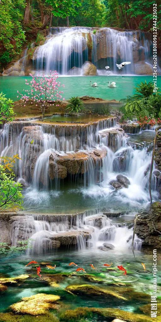 虫虫助手下载