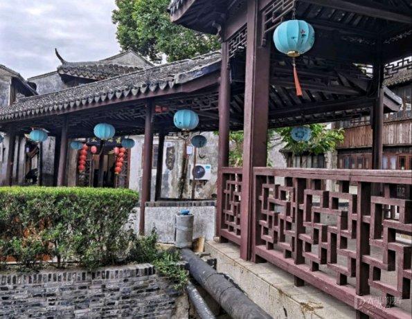 探索这是什么昆虫?,解锁知识星球的无限魅力